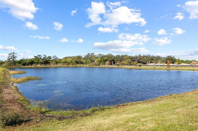 5989 GOLDEN NETTLE DRIVE, Apollo Beach, FL 33572