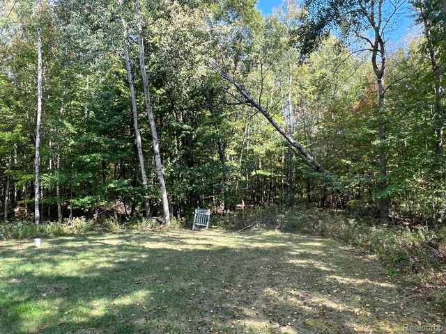 9996 N Chippewa Road, Wise Twp, MI 48618