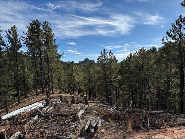 162 Eagle Drive, Divide, CO 80813