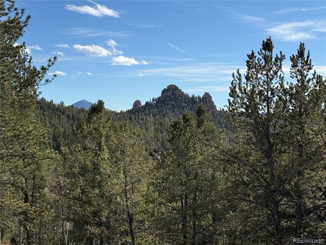 162 Eagle Drive, Divide, CO 80813