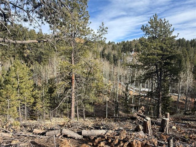 162 Eagle Drive, Divide, CO 80813