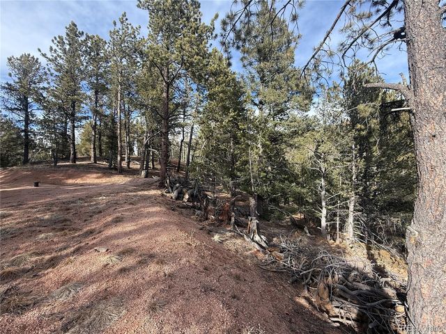 162 Eagle Drive, Divide, CO 80813
