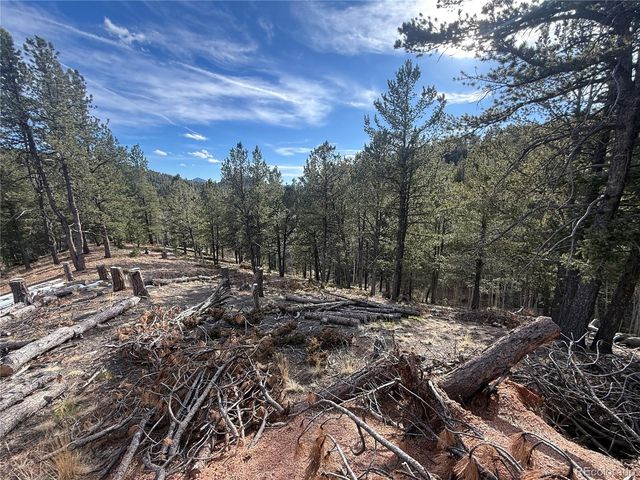 162 Eagle Drive, Divide, CO 80813