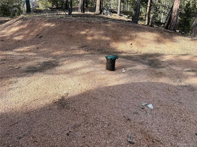 162 Eagle Drive, Divide, CO 80813