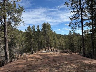162 Eagle Drive, Divide, CO 80813
