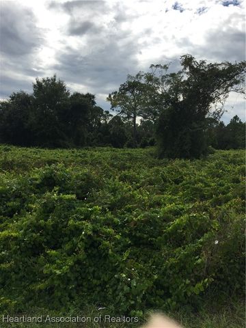 1040 Oriole Street, Lake Placid, FL 33852