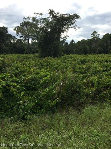 1040 Oriole Street, Lake Placid, FL 33852