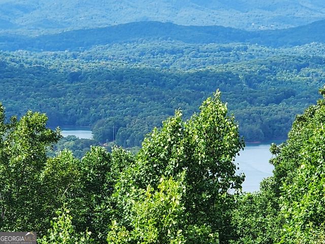 880 Locust Trail, Hiawassee, GA 30546
