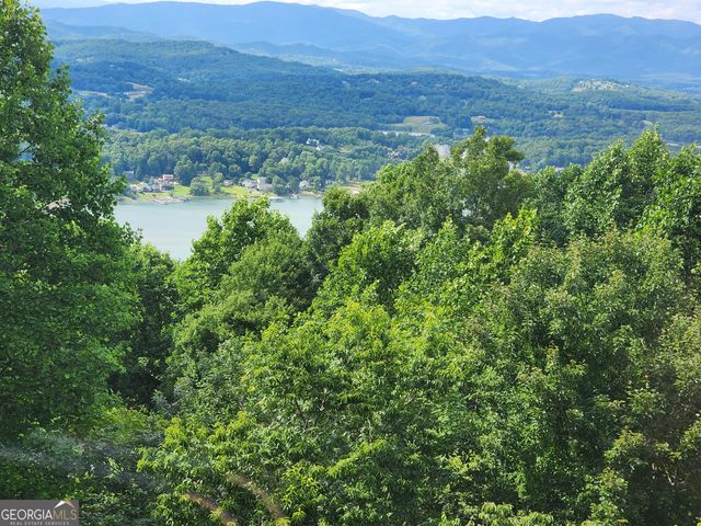 880 Locust Trail, Hiawassee, GA 30546