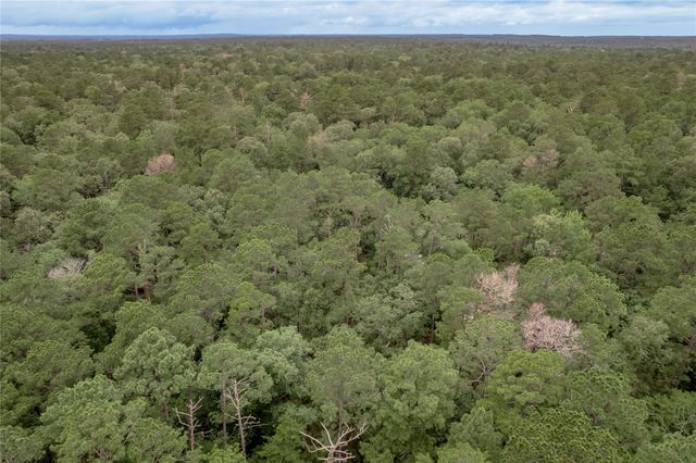 Lot 9 Rohm Place, Huntsville, TX 77320