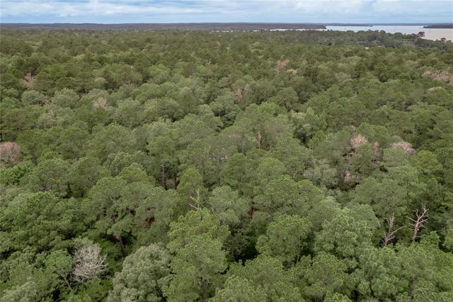 Lot 9 Rohm Place, Huntsville, TX 77320
