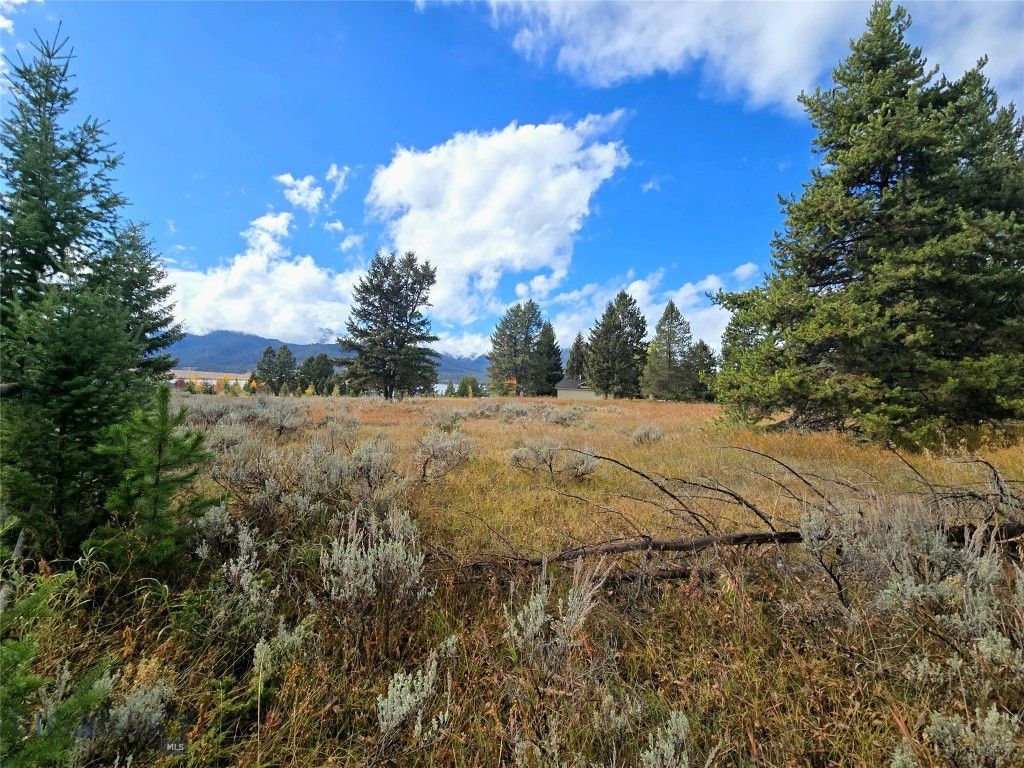 170 Loop Lane, West Yellowstone, MT 59758 photo 54