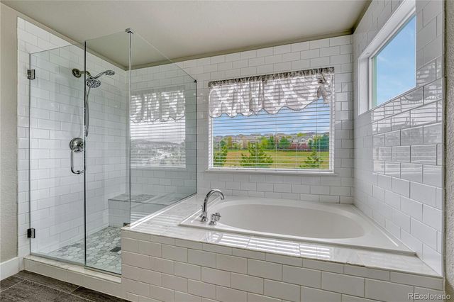 3434 Fantasy Place, Castle Rock, CO 80109