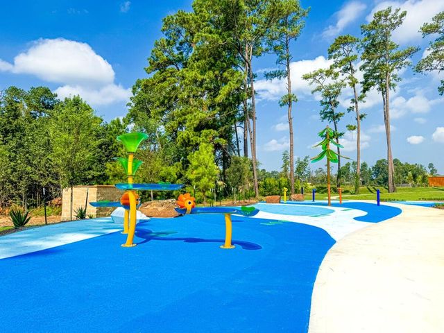 257 Hazy Pines Lane, Willis, TX 77378