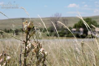 Tract 5 McClelland Road, Calhan, CO 80808
