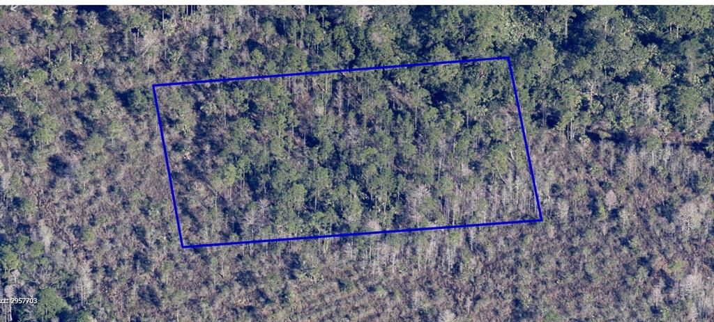 NO NAME, Grant, FL 32949