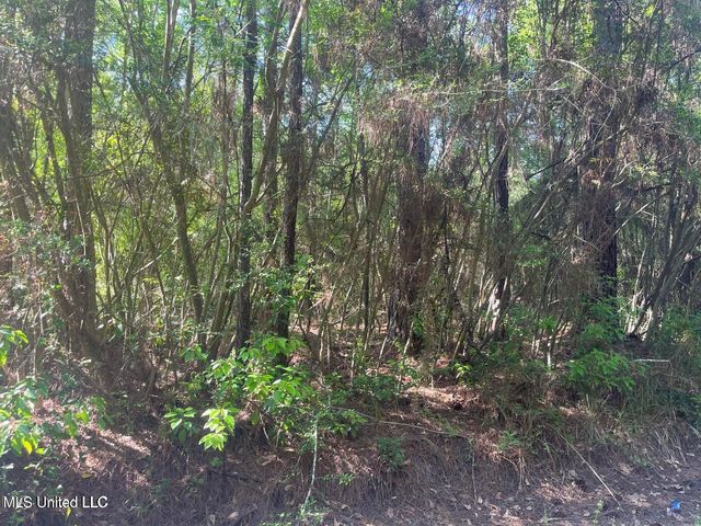 Martin Young Road, Moss Point, MS 39562