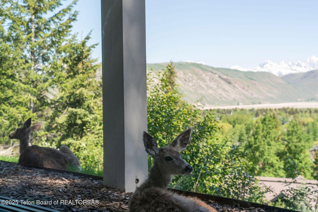 785 SNOW KING DRIVE, Jackson, WY 83001 photo 45