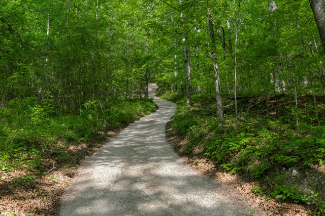 573 Ross Hollow Road, Ringgold, GA 30736