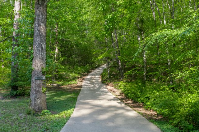 573 Ross Hollow Road, Ringgold, GA 30736