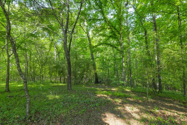 573 Ross Hollow Road, Ringgold, GA 30736