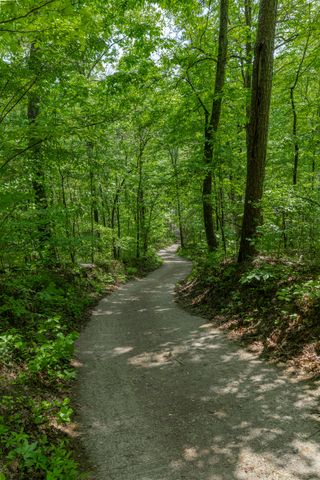 573 Ross Hollow Road, Ringgold, GA 30736