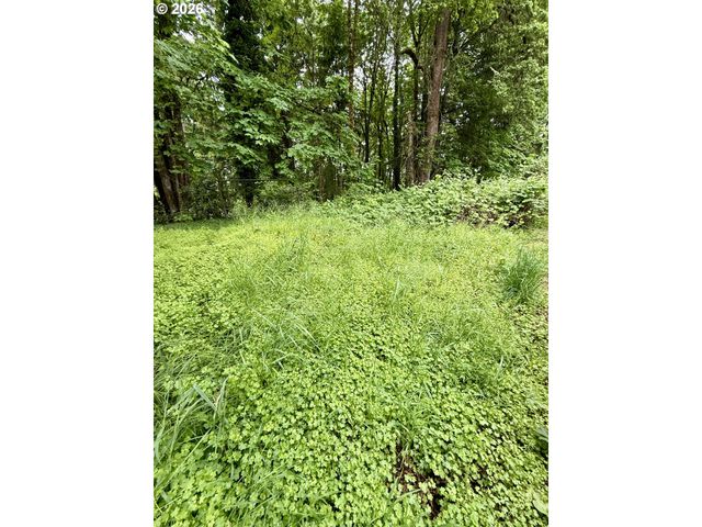 1 Lothlorien, Lake Oswego, OR 97034