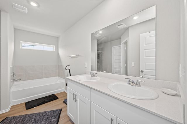 171 Ashe Juniper Way, Magnolia, TX 77354