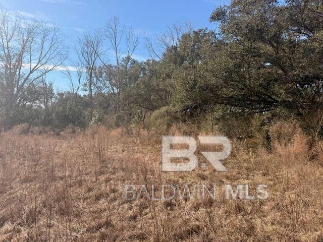 0 Krehling Lane, Elberta, AL 36530