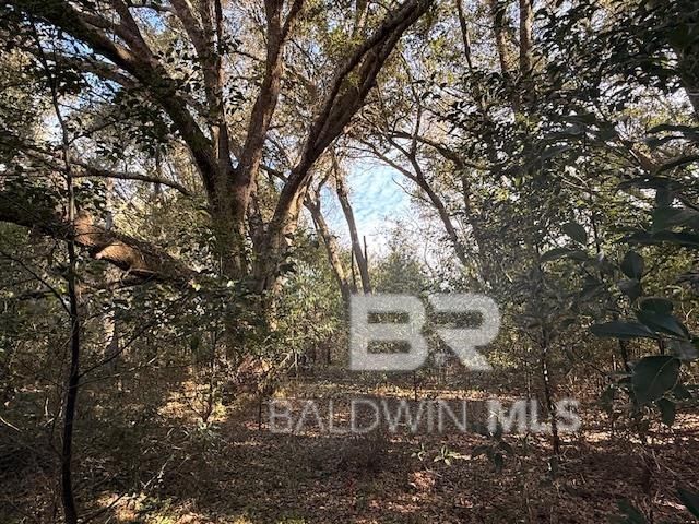 0 Krehling Lane, Elberta, AL 36530