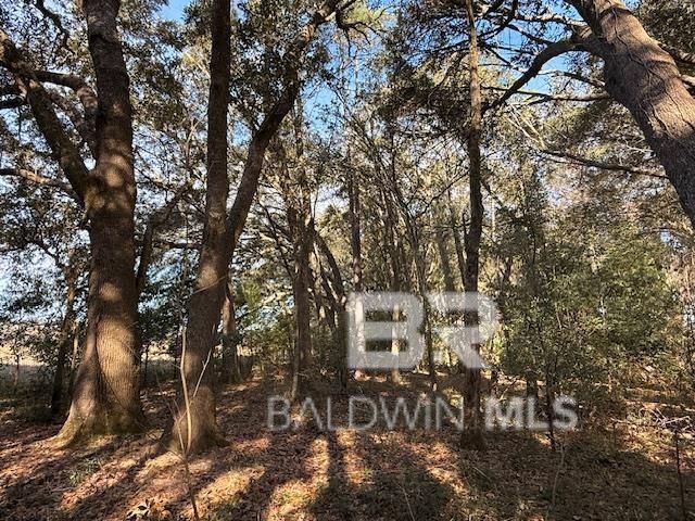 0 Krehling Lane, Elberta, AL 36530