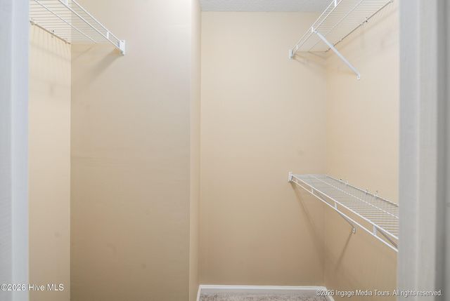 515 Spring Forest Road E, Greenville, NC 27834