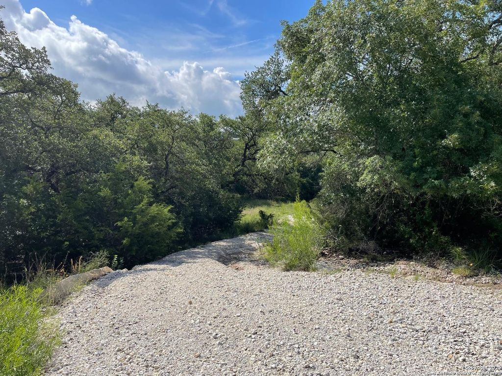 1409 LAVACA DR, Canyon Lake, TX 78133