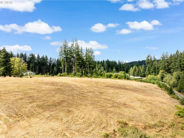 1910 Ne BROWN Rd, Washougal, WA 98671