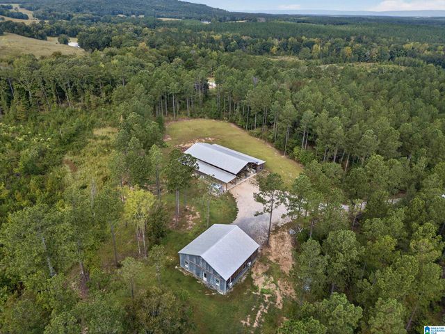 2130 COUNTY ROAD 178, Piedmont, AL 36272