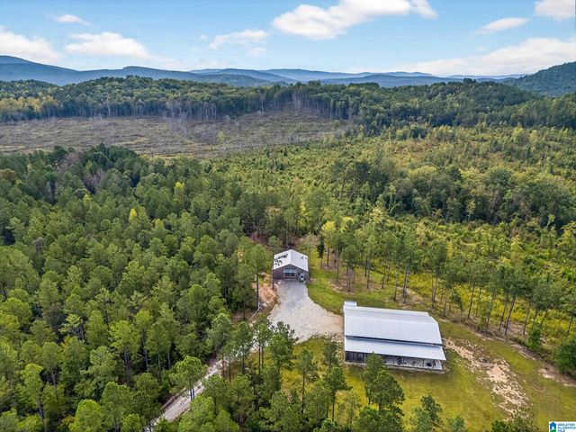 2130 COUNTY ROAD 178, Piedmont, AL 36272