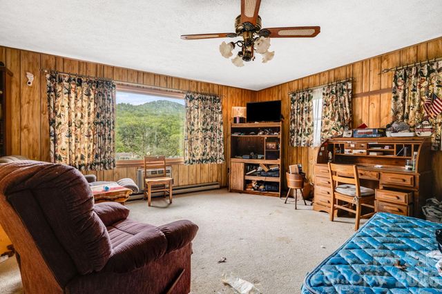 48 Ellen Avenue, Canton, NC 28716