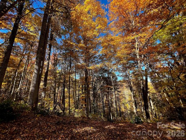 0000 Hemphill Road 3, Waynesville, NC 28785
