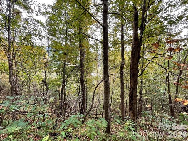 0000 Hemphill Road 3, Waynesville, NC 28785