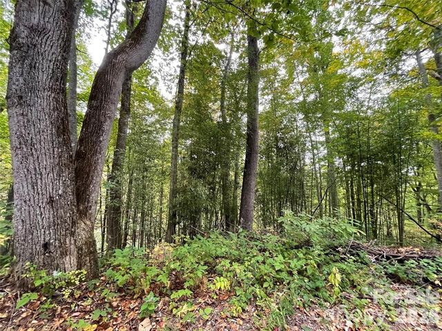 0000 Hemphill Road 3, Waynesville, NC 28785