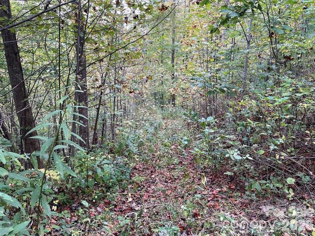 0000 Hemphill Road 3, Waynesville, NC 28785