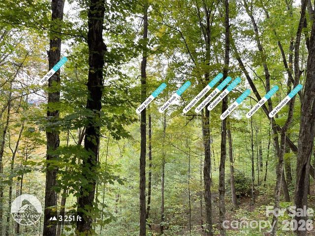 0000 Hemphill Road 3, Waynesville, NC 28785