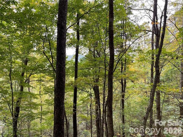 0000 Hemphill Road 3, Waynesville, NC 28785