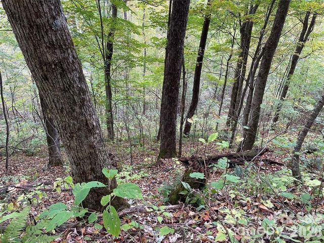 0000 Hemphill Road 3, Waynesville, NC 28785