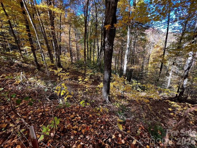 0000 Hemphill Road 3, Waynesville, NC 28785
