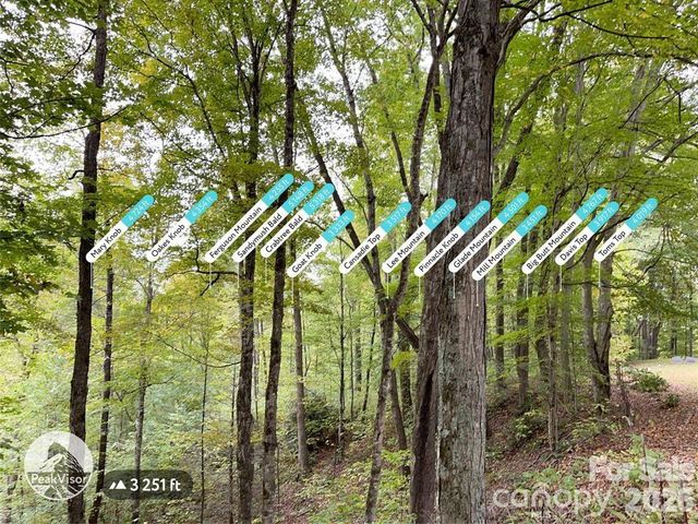 0000 Hemphill Road 3, Waynesville, NC 28785