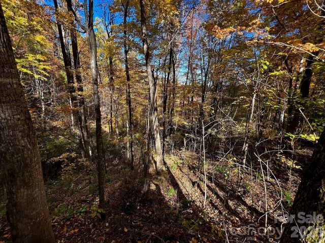 0000 Hemphill Road 3, Waynesville, NC 28785