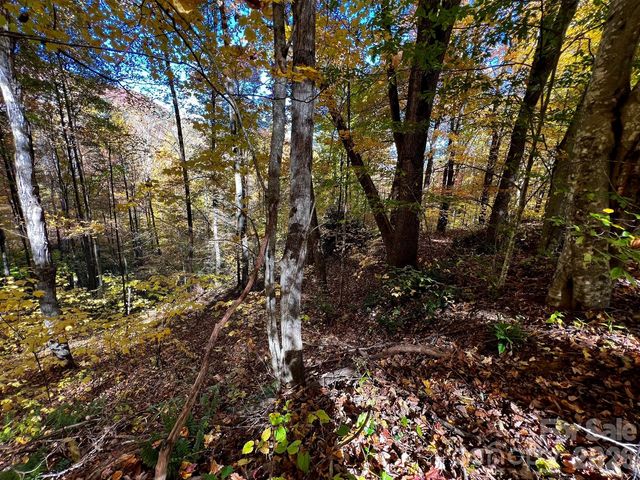 0000 Hemphill Road 3, Waynesville, NC 28785