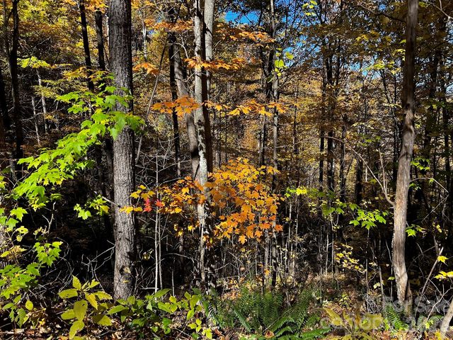 0000 Hemphill Road 3, Waynesville, NC 28785