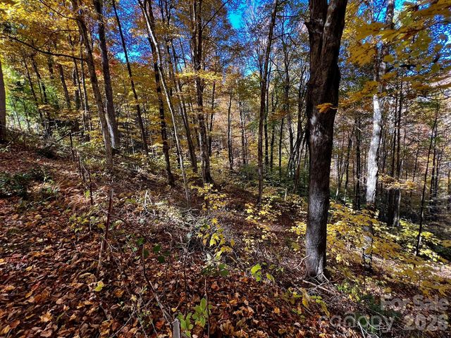 0000 Hemphill Road 3, Waynesville, NC 28785